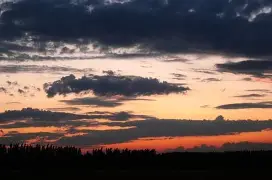 体育娱乐-世俱杯尤文图斯vs曼城回放视频