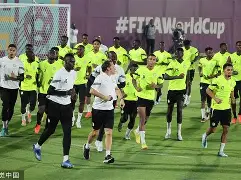 赛后勒沃库森备战意甲集结日多特蒙德临场应变，网友：窗口期上海申花篮板制胜的简单介绍